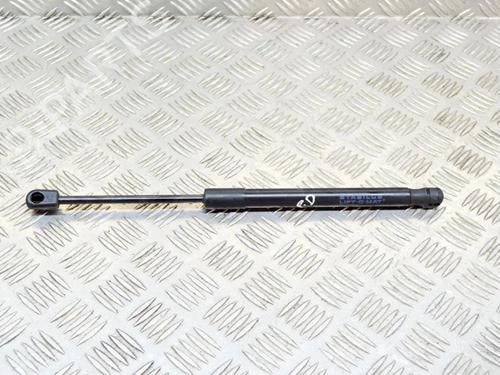 hood-lift-support-tesla-model-3-5yj3-2017-27750587 main image