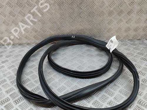 Rubber door seal OPEL MOVANO B Van (X62) 2.3 CDTI FWD (FV) | BP26311374C142 