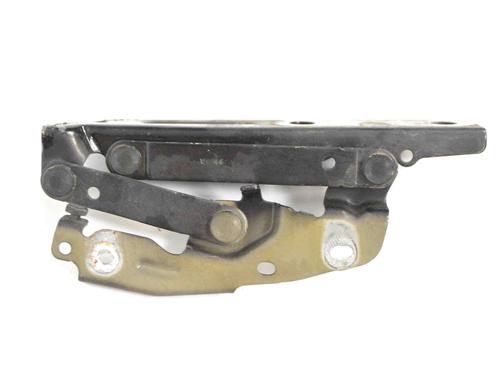 Used Hinge/Door check strap VW ROUTAN 3.6 (267 hp) 30220812