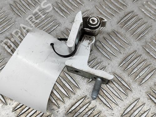 Hinge/Door check strap AUDI A5 Sportback (F5A, F5F) 2.0 TDI | BP16141132C146 