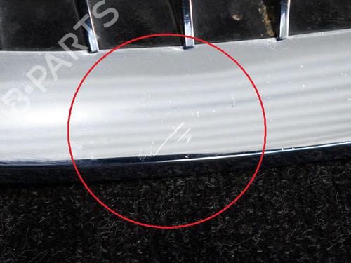 Used Grille BMW 5 (E60) 530 d (235 hp) 14665903