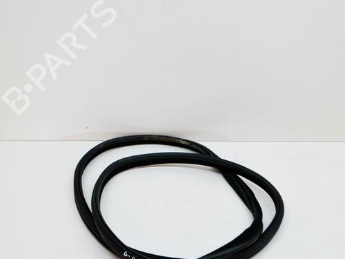 Used Rubber door seal BMW 3 Gran Turismo (F34) 320 i xDrive (184 hp) 14639903