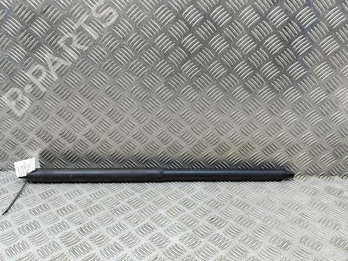 tailgate-lift-support-tesla-model-s-5yjs-2012-32238963 main image