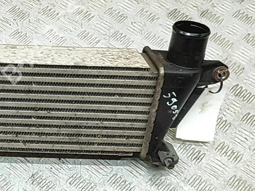 Intercooler ISUZU D-MAX II (TFR, TFS) 2.5 CRDi 4x4 (TFS86J) | BP32025515M30 