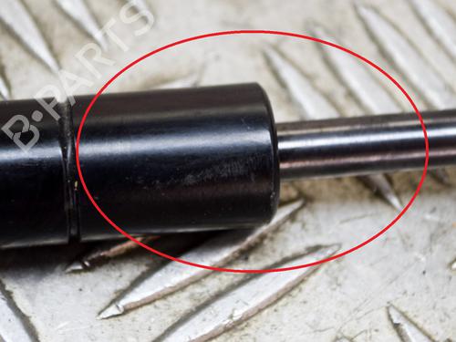 Hood lift support LAND ROVER RANGE ROVER EVOQUE (L538) 2.0 D 4x4 | BP14635791C139 