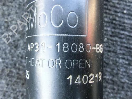 Used Left rear shock absorber FORD B-MAX (JK) 1.0 EcoBoost (100 hp) 6722226