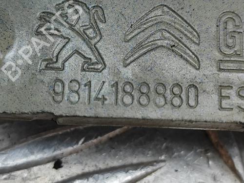 Hinge/Door check strap PEUGEOT 3008 II SUV (MC_, MR_, MJ_, M4_) 1.6 BlueHDi 120 | BP25218927C146