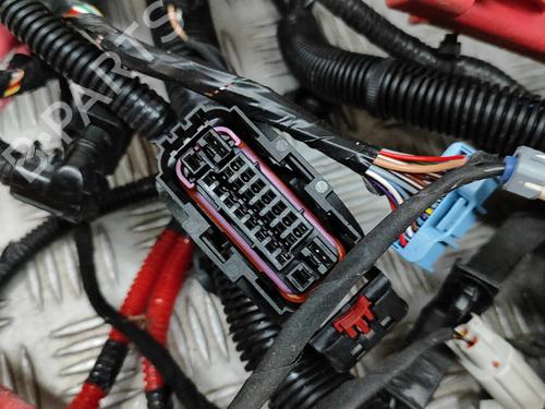 Wiring harness TESLA MODEL Y (5YJY) EV Rear-Wheel Drive | BP32754781E16  - Image 8