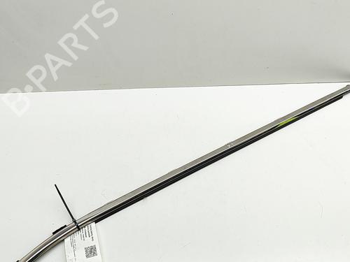 Door moulding trim LEXUS NX (_Z1_) 300h AWD (AYZ15, AYZ15_, AYZ15R) | BP28028760C150 