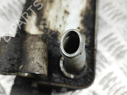 Oliekøler JAGUAR XJ (X350, X358) D 2.7 | BP31021208M33