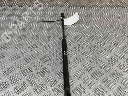 Hood lift support BMW X1 (F48) xDrive 20 d | BP29227432C139 
