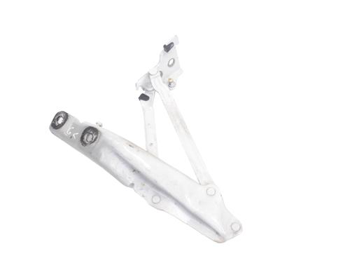 Hinge/Door check strap VW BEETLE Convertible (5C7, 5C8) 1.4 TSI | BP30245928C146