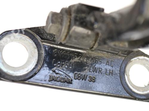 Hinge/Door check strap JAGUAR XF I (X250) 2.7 D | BP30209168C146 
