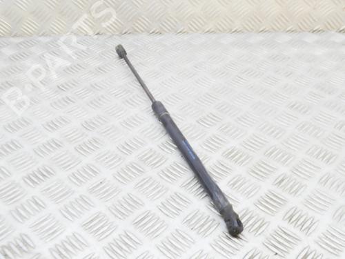 Hood lift support AUDI Q7 (4LB) 3.0 TDI quattro | BP15551493C139 