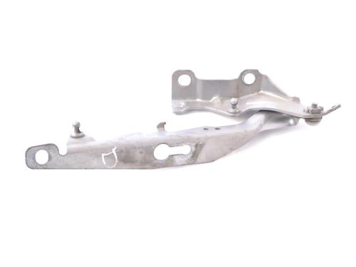 Hinge/Door check strap VOLVO S80 II (124) 2.4 D | BP30213621C146