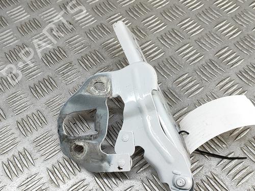 Hinge/Door check strap AUDI Q7 (4MB, 4MG, 4MQ) 3.0 TDI quattro | BP28956457C146 