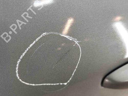 Left front door FORD KUGA III (DFK) 2.5 Duratec Plug-in-Hybrid | BP29486244C2 