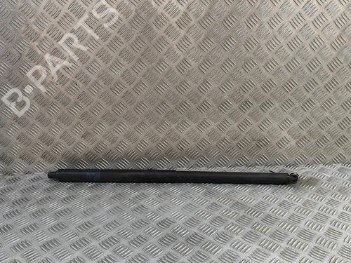 tailgate-lift-support-tesla-model-s-5yjs-2012-33373139 main image