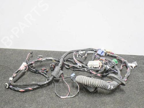 Ledningsnet TESLA MODEL 3 (5YJ3) EV AWD (351 hp) 27748120