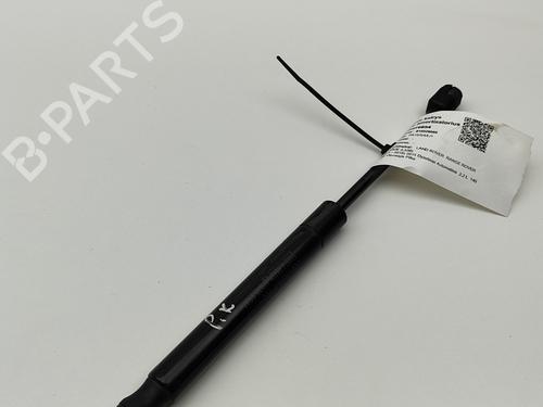 Hood lift support LAND ROVER RANGE ROVER EVOQUE (L538) 2.2 D 4x4 | BP26167974C139 