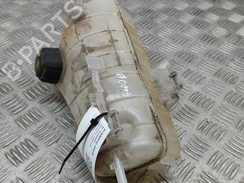 Expansion tank RENAULT KANGOO Express (FW0/1_) 1.5 dCi 90 (FW0G, FW05, FW08, FW11) | BP16140786C120 