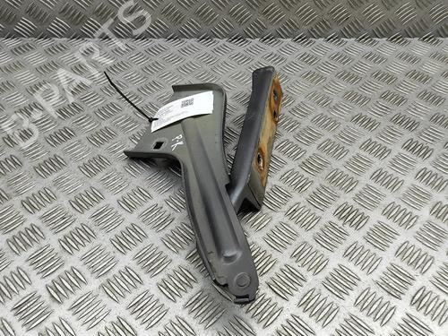 Hinge/Door check strap JAGUAR F-PACE (X761) 2.0 TD4 | BP29830559C146