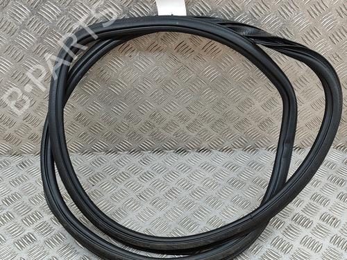 Rubber door seal AUDI Q5 (FYB, FYG) SQ5 TFSI quattro | BP19502621C142 