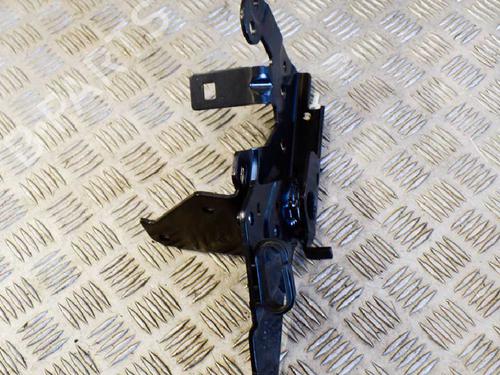 Hinge/Door check strap AUDI A7 Sportback (4GA, 4GF) 3.0 TDI quattro | BP14613886C146