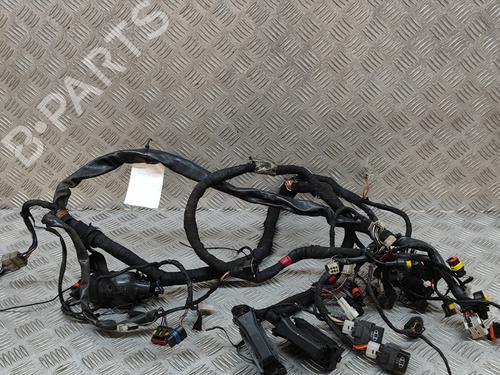 Other APRILIA MOTORCYCLES TUONO Tuono R (RR) | BP28555972O1 