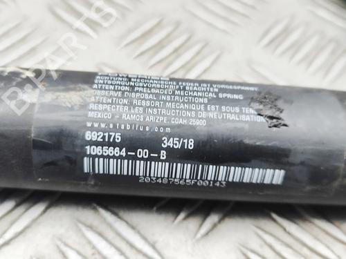 Tailgate lift support TESLA MODEL X (5YJX) P100D AWD | BP34443972C138  - Image 6