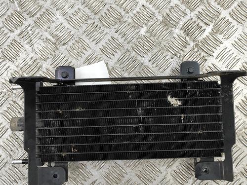 Used Oil radiator NISSAN QASHQAI III (J12) 1.3 DIG-T (158 hp) 28553853