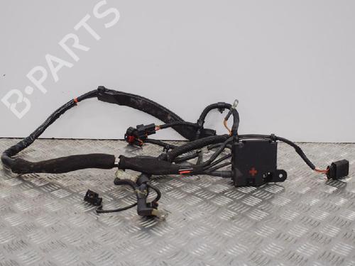 Ledningsnet AUDI A5 (8T3) S5 quattro (333 hp) 14659353