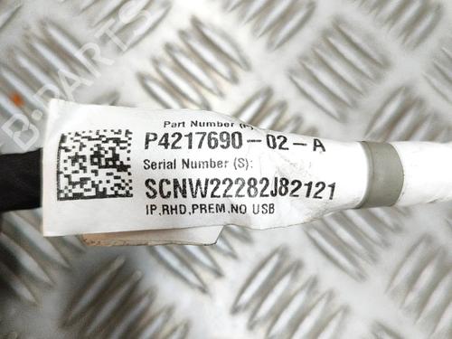 Ledningsnet TESLA MODEL 3 (5YJ3) EV | BP27774464E16