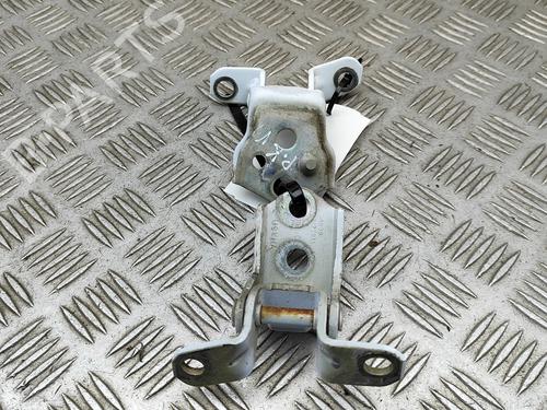 Used Hinge/Door check strap FORD RANGER (TKE) 2.0 EcoBlue 4x4 (213 hp) 29975625