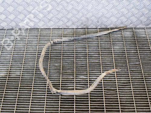 Støtte Støtte RENAULT MASTER III Van (FV) 2.3 dCi 135 FWD (FV0N, FV08, FV06, FV00, FV1S) (136 hp) 14614318 14614318