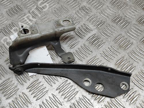 Hinge/Door check strap VOLVO S40 II (544) T5 | BP25218537C146