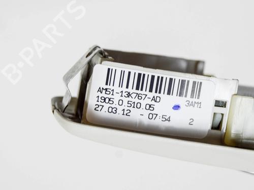 Interior roof light FORD FOCUS III Estate Van 1.0 EcoBoost | BP27760948I8 