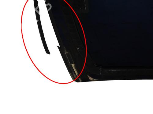 Sunroof POLESTAR POLESTAR 2 (534) EV | BP30252212C124 