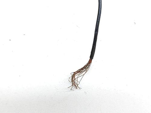 Camera FORD RANGER (TKE) 2.0 EcoBlue 4x4 | BP28549190E14  - Image 9