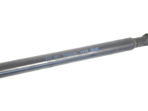 Hood lift support LAND ROVER RANGE ROVER SPORT I (L320) 3.6 D 4x4 | BP30209072C139 