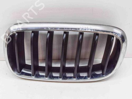 Used Grille BMW X5 (F15, F85) xDrive 30 d (258 hp) 29637441