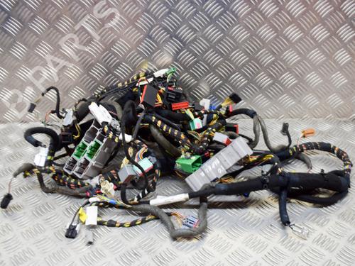 Used Wiring harness JAGUAR XJ (X350, X358) 4.2 (298 hp) 14629938