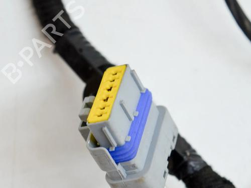 Wiring harness TESLA MODEL X (5YJX) P100D AWD | BP14623797E16 