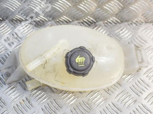 expansion-tank-renault-master-iii-van-fv-23-dci-100-fwd-fv0a-fv0b-fv0g-fv0k-fv0h-renault-217100015r-2010-7735559 main image