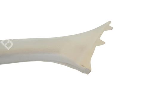 Other JAGUAR XF I (X250) 3.0 D | BP30255501O1