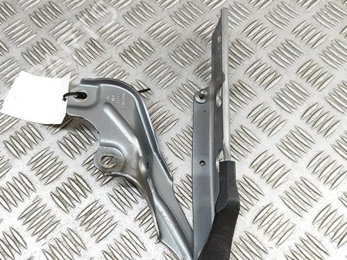 Hinge/Door check strap AUDI A7 Sportback (4GA, 4GF) 3.0 TDI | BP28438673C146