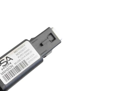 Module électronique PEUGEOT 208 II (UB_, UP_, UW_, UJ_) 1.2 PureTech 100 | BP30245193M83 