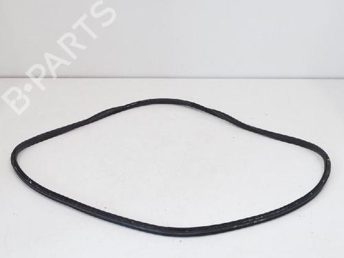 Rubber door seal TESLA MODEL S (5YJS) 75D AWD | BP20232936C142 