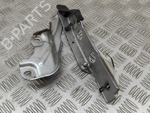 Hinge/Door check strap AUDI A7 Sportback (4GA, 4GF) 3.0 TDI | BP23946561C146