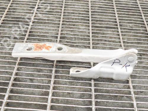 Used Hinge/Door check strap VW POLO V (6R1, 6C1) 1.4 (6R1) (85 hp) 14609637
